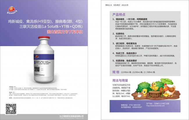 yl7703永利官网(集团)有限公司