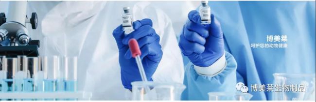 yl7703永利官网(集团)有限公司