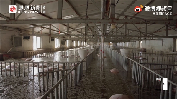 yl7703永利官网(集团)有限公司