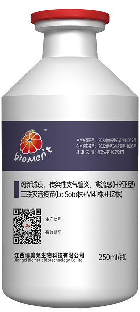 yl7703永利官网(集团)有限公司