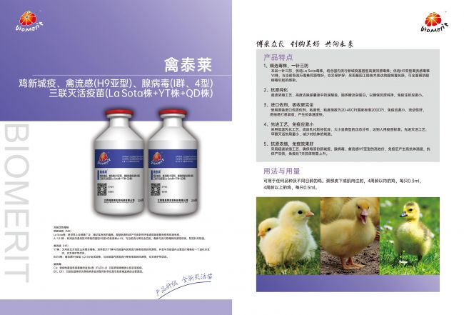 yl7703永利官网(集团)有限公司