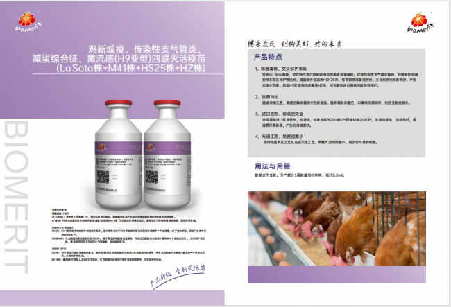 yl7703永利官网(集团)有限公司